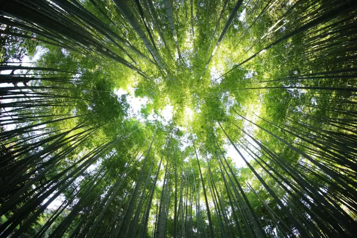 Pourquoi, comment, quoi… les dessous de notre bilan carbone 2023