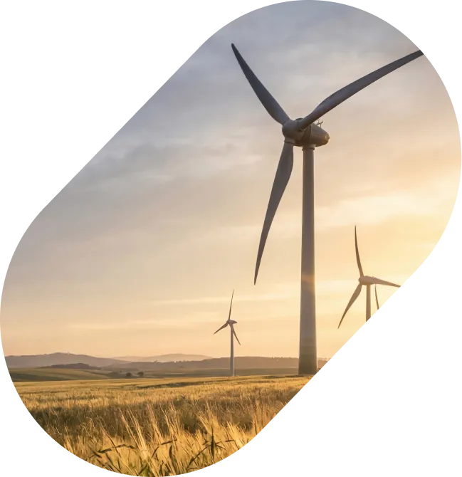 elmy_fournisseur_gestion_enr